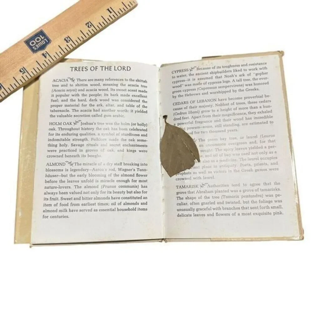 Plants of the‎ Bible  (1st Ed) by Louis Untermeyer, Anne Orphelia Dowden